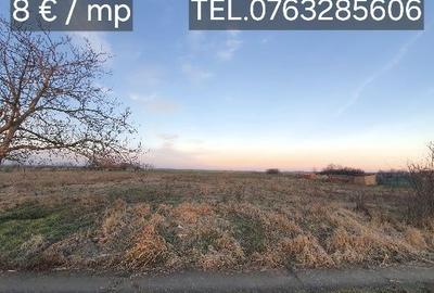 Spațiu comercial, în Cenad - 3