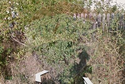 Teren 1,205mp Falticeni / Strada Pictor Baiesu - 6