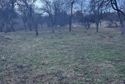 Teren de vanzare intravilan Șimon Bran - 5