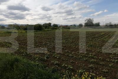 Teren intravilan 5800 mp cu toate utilitatile PUZ hala in Oiejdea - 2