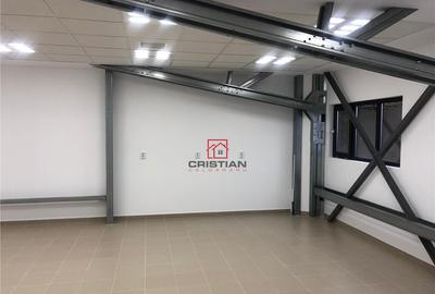 Depozit/hala/spatiu industrial Theodor Pallady - Drumul Int - 24