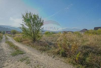 Teren de 1000 mp, în Cristian - 5