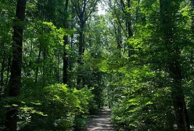 Direct Proprietar | Studio Modern in Greenfield Residence – Langa Padurea Baneas - 12