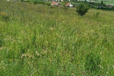 Teren de 2900 mp, în Aghireșu - 3