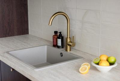 ISHO Riverside U2, spre raul  Bega, aproape de Universitatea de Medicina - 10