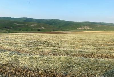 Teren de 14500 mp, în Cojocna - 1