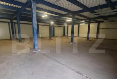 Hala open space, 400 mp, inaltime 4,5 m, Luna de Sus - 9