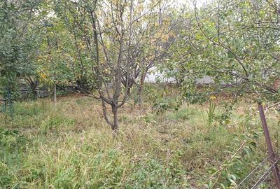 Casa Bolintin Vale - zona extrem de linistita, curte mare - 6