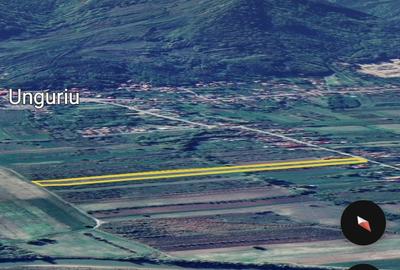 Teren de 10000 mp, în Unguriu - 3