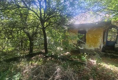 Teren de 1813 mp, în Mihăești - 2