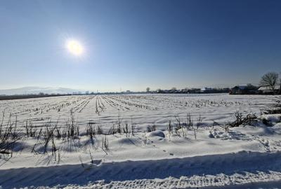 Teren Construcții intravilan de 1000 mp, în Gherla - 2