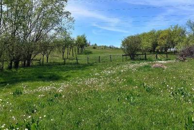 Casă cu Teren 3000 Mp în Central