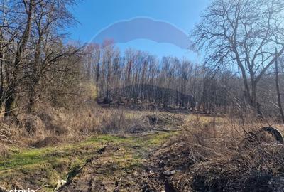 Teren de 4985 mp, în Sascut - 16