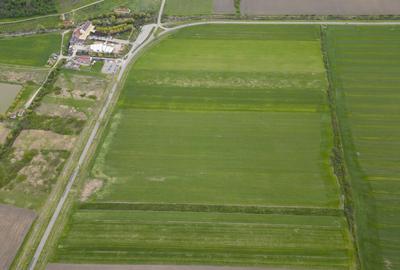 Teren extravilan de 22500mp Zona Ineu - 7