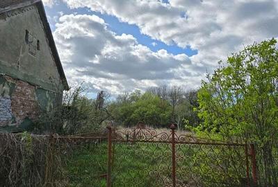 Casă cu 3 camere cu Teren 3863 Mp în Batiz - 5