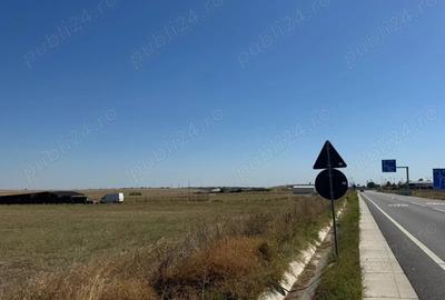 De inchiriat 1,5 ha teren intravilan DN Caracal-Craiova 2.800 luna - 1