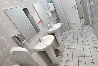 Militari Iuliu Maniu Stradal 91mp Liber Trafic Intens Merita Vazut - 2