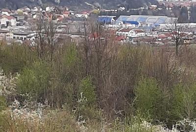 Spațiu comercial, în Aranghel - 11