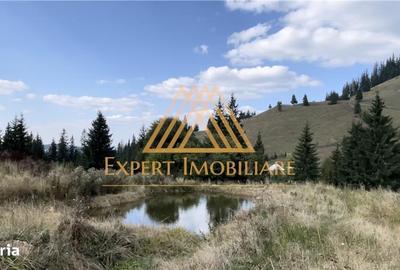 Casă cu 4 camere cu Teren 29000 Mp în Central - 2