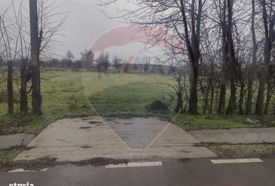 Spațiu comercial, în Cocora - 11