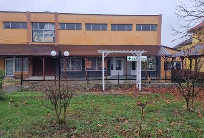 Spații comerciale de 110 mp și 36 mp, vitrină stradală – Seleuș - 1