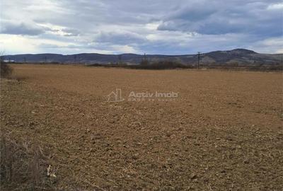 Teren 5000 mp langa E68 - 3