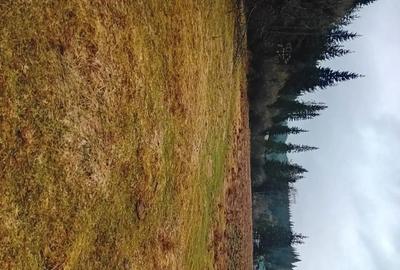 Spațiu comercial, în Poiana Horea - 1