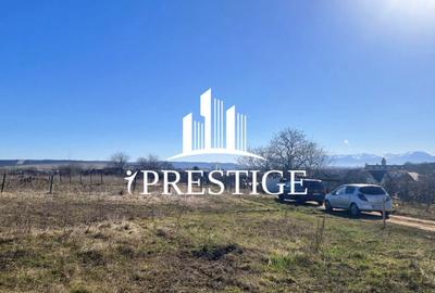 Teren agricol extravilan de 873 mp, în Șura Mică - 9