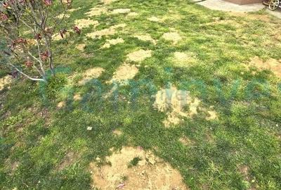 Casă individuală cu 4 camere cu Canalizare în Sântandrei - 19