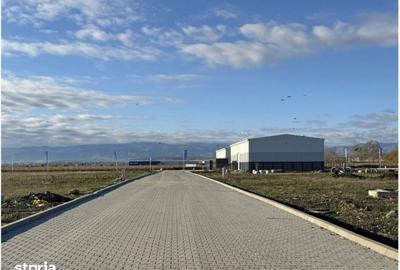 Spațiu comercial, de 528 mp, în Șura Mică - 7
