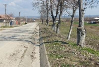 Teren de 40000 mp, în Central - 4