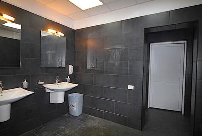 REC3000085 Birouri si hala in parc industrial - zona vest - 15