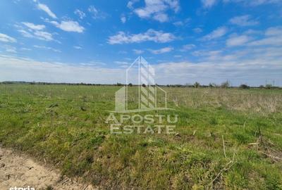 Spațiu comercial, în Central - 1