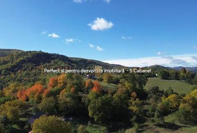 Teren intravilan 3500 mp Zona turistica Cacica Bucovina! - 8