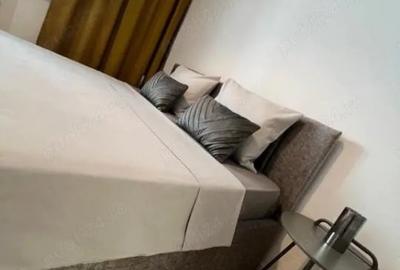 Apartament cu 2 camere semidecomandat, mobilat în Calea Victoriei - 8