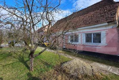 Casa saseasca de vanzare, Livezile