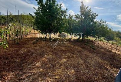 Casă cu 4 camere în Bucerdea Vinoasă - 4