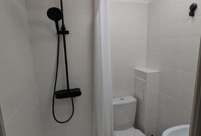 Garsonieră confort 2 piața Alba Iulia - 9