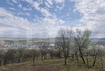 Teren intravilan Viisoara cu panorama asupra orasului- parce - 1