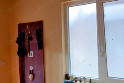 Casă cu 2 camere cu Teren 125 Mp în Traian - 3