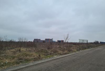 Teren Construcții intravilan de 10000 mp, în Exterior Vest - 5