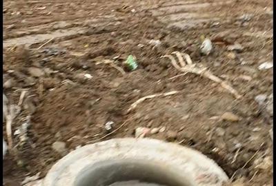Teren de 3200 mp, în Recea - 2
