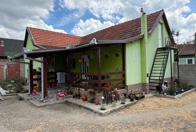 Casă cu 4 camere cu Teren 2200 Mp în Lugoj - 4