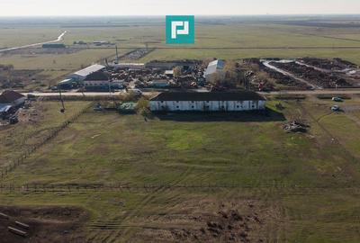 Hală industrială cu teren generos în Zărand, Arad - 49