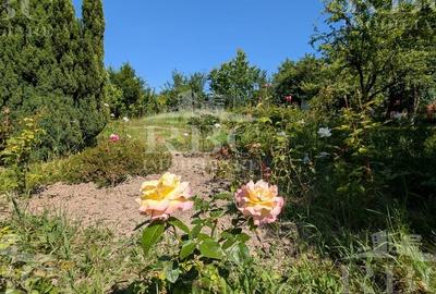 Teren pentru constructie casa in Faget - 10