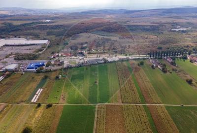 Teren Construcții intravilan de 30016 mp, în Sântuhalm - 6