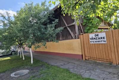 Casă cu 5 camere cu Teren 2117 Mp în Nădlac - 14