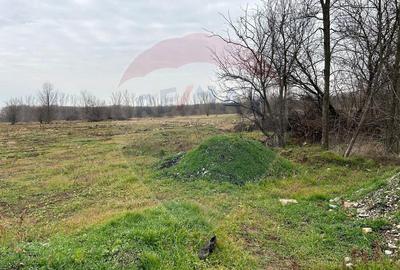 VANZARE Teren intravilan 30,022mp Valea Doftanei/Drumul T... - 5