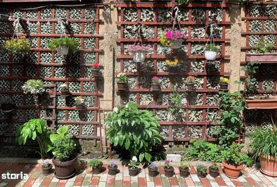 Apartament spatios cu 3 camere - 9