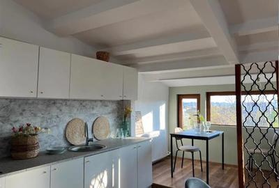 Apartament cu 4 camere decomandat, mobilat în Băneasa - 7